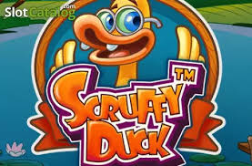 Scruffy Duck