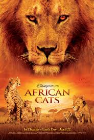 African Cats 96