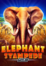 Elephant Stampede SE 97