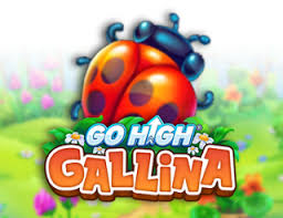 Go High Gallina 88