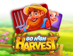 Go High Harvest 96