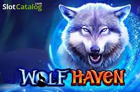 Wolf Haven 96