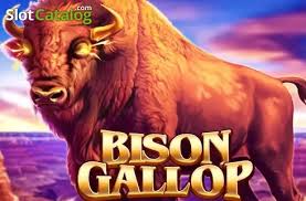 Bison Gallop