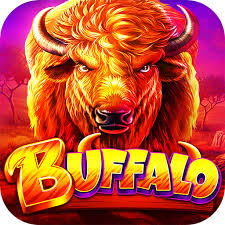 Buffalo