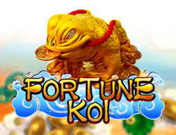 Fortune Koi