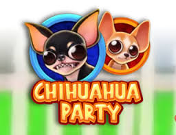 Chihuahua Party