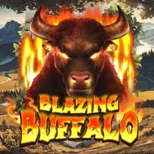 Blazing Buffalo