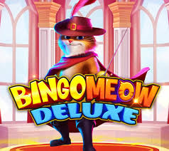 Bingo Meow